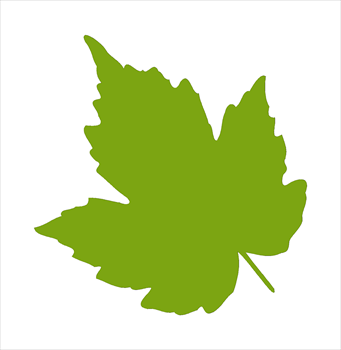 Ivy Leaf Clip Art - ClipArt Best