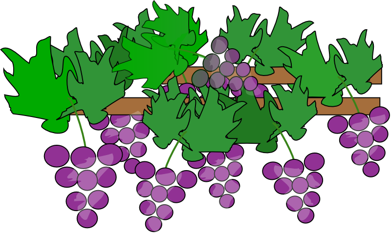 Free to Use & Public Domain Grapes Clip Art