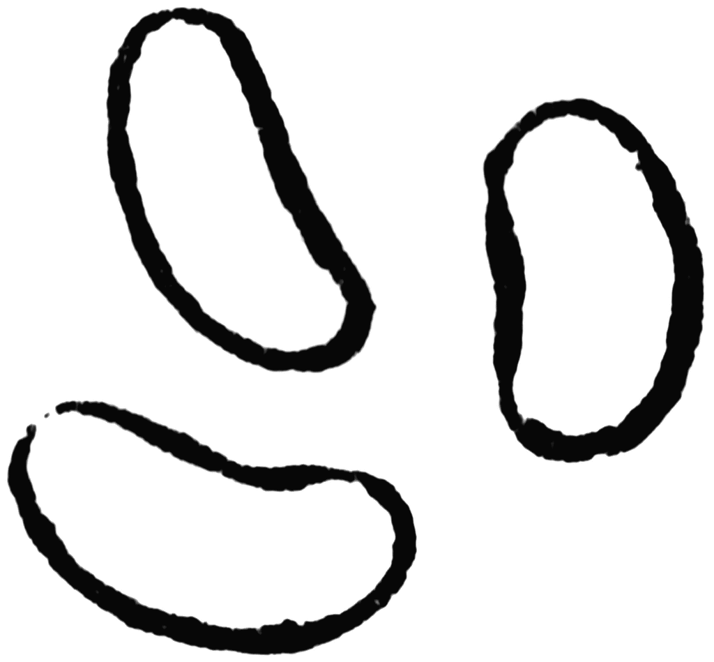 Seed Clipart