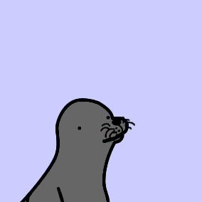 1000+ images about GIFs