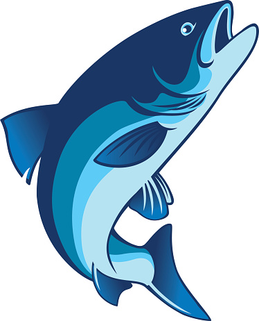 Rainbow Trout Jumping Backgrounds Clip Art, Vector Images ...