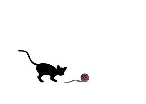 1000+ images about draw a cat. | Cats, Cute cat ...