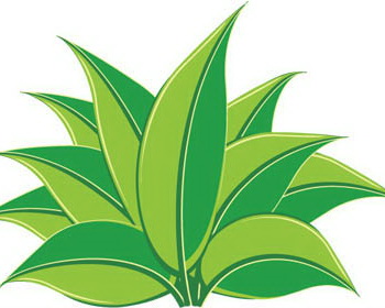 Free Grass Clip Art Pictures - Clipartix