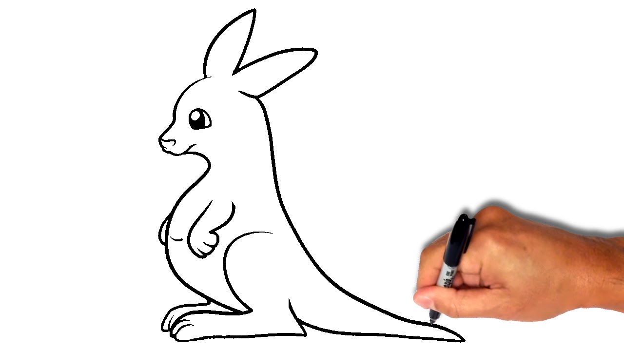 How to draw a kangaroo [less than 2 minutes] - YouTube