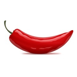 Red Chilli Wholesaler from Erode