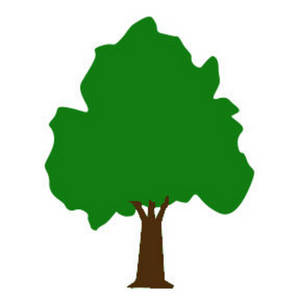 Small Tree Clipart