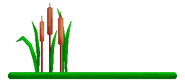 Cattail Clipart - Tumundografico