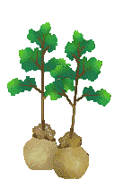 Tree Clip Art - Free Tree Clip Art - Trees Ready to Plant - Arbor Day