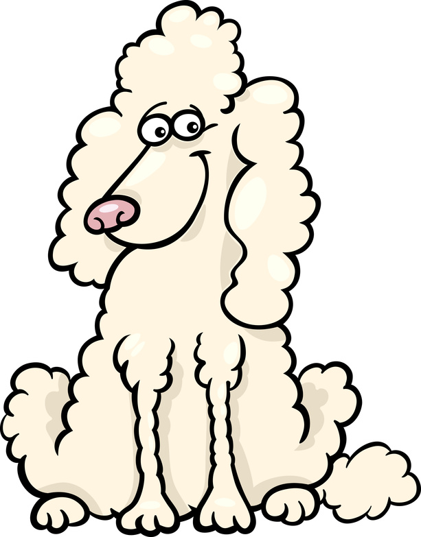 Poodle Cartoon
