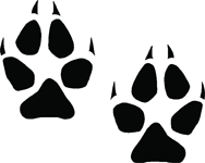 Paw Print Stickers | Paw Print Decals - Car Stickers