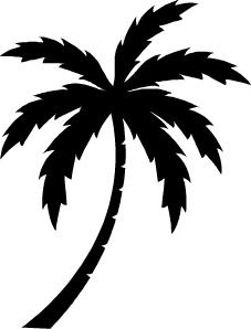 5e2c52dd_palm_tree_174.jpeg