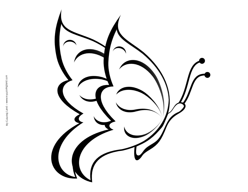 Butterfly - My Coloring Land