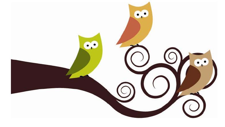 Cartoon Baby Owls