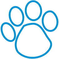 Designs | Cougar Warehouse