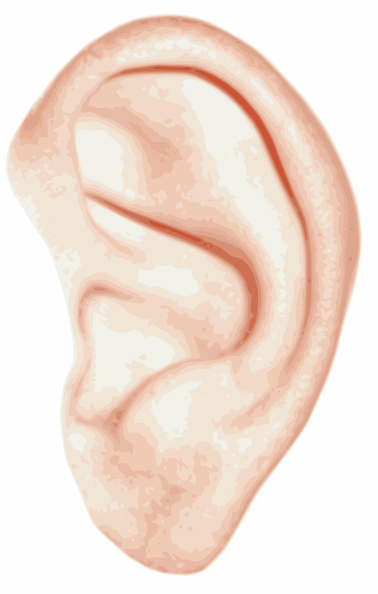 Ear clip art - vector clip art online, royalty free & public domain