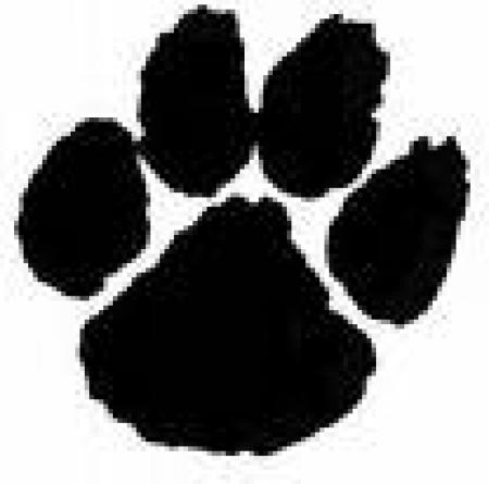 Tiger Mountain Pointing Labs