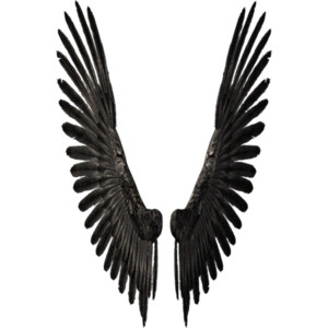 Wings - Polyvore