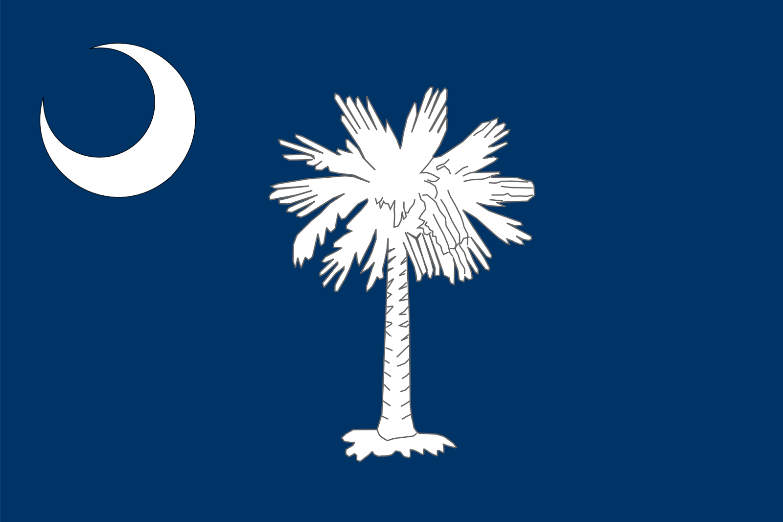 Just JoeP: SC Flag in the CA Sky