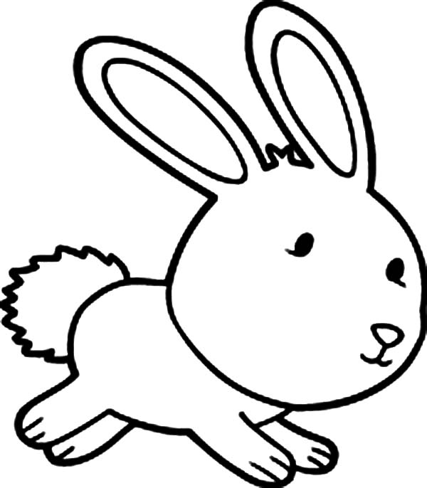 30 Bunny Coloring Pages - ColoringStar
