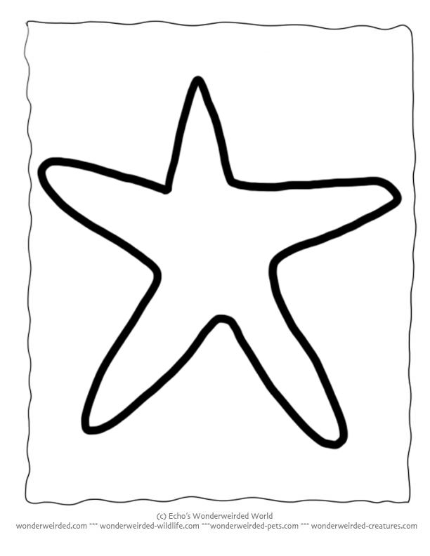 Starfish Template | Starfish Crafts ...