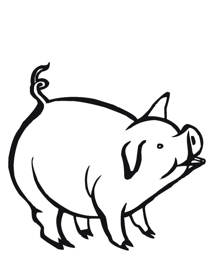 Pig Template - Animal Templates | Free & Premium Templates