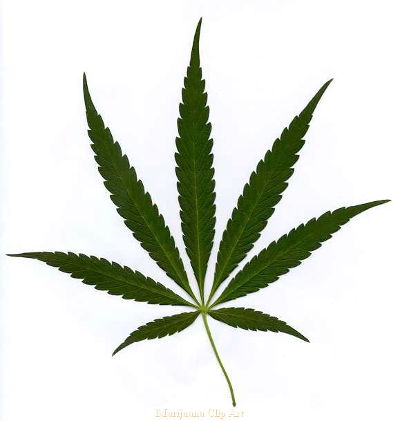 Marijuana Drawings Clipart