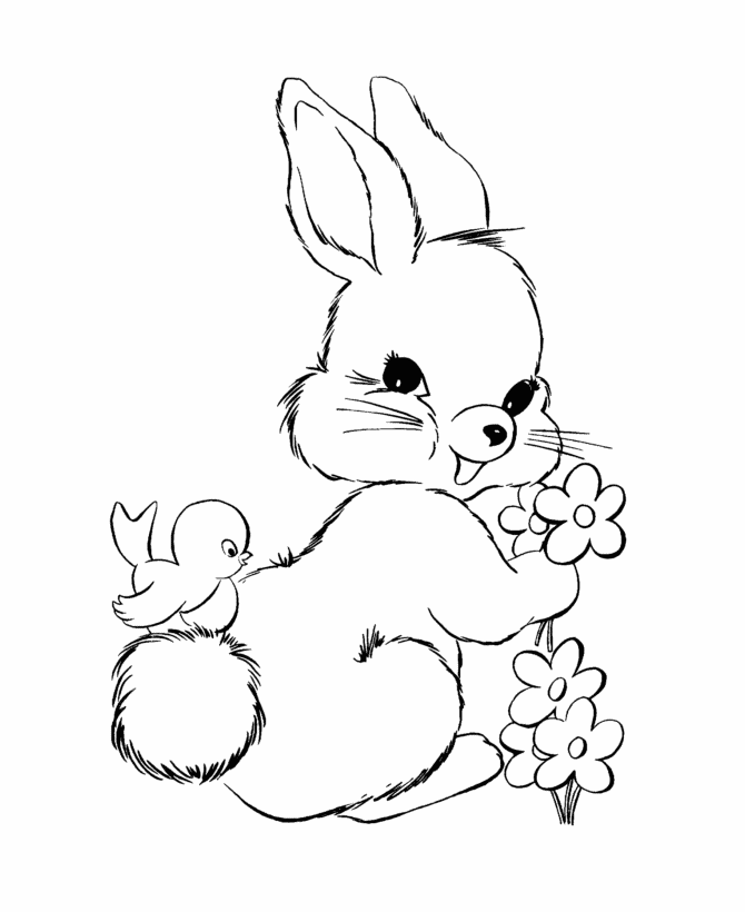Bunny Rabbit Images - AZ Coloring Pages