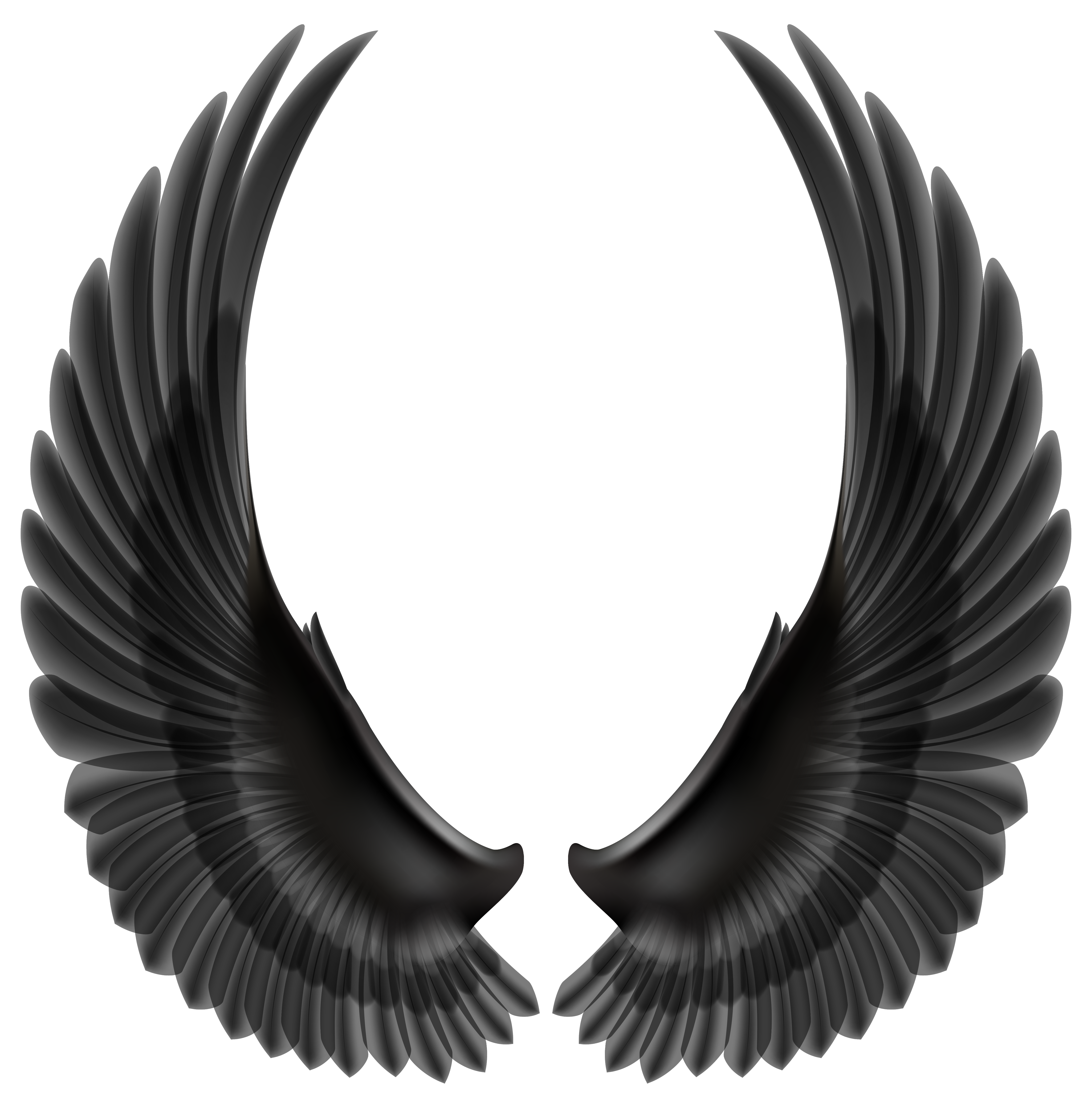 Black Wings PNG Clip Art Image