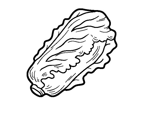 Romaine lettuce coloring page - Coloringcrew.com