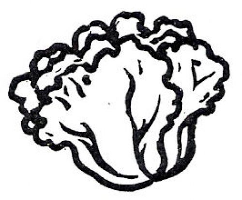 Best Photos of Lettuce' Coloring Pages - Lettuce Coloring Page ...