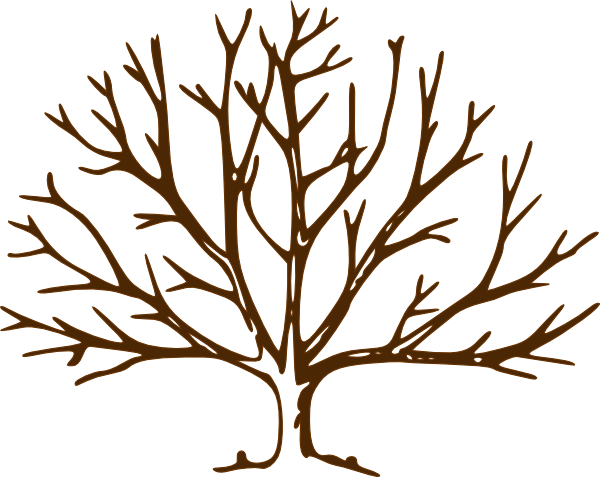 Bare Oak Tree Clipart