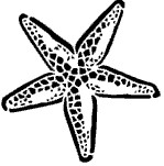 monogram/logo...FREE??? | Weddings, | Wedding Forums | WeddingWire