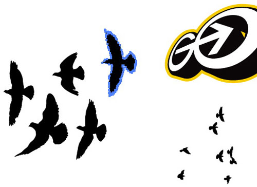 Animating Birds with After Effects | GoMediaZine