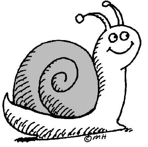 CAMINO PILGRIM SNAIL GANG | Slow Pilgrims know…."HOW TO BREATH!"