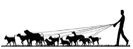 Dog Walking Clipart