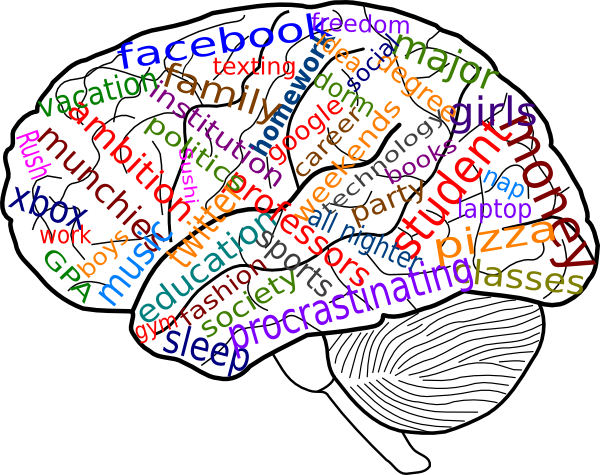 Unlabeled brain diagram clip art - dbclipart.com