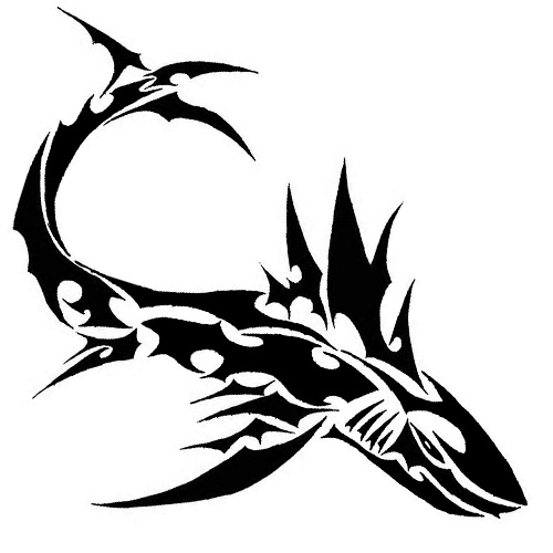 70 Shark Tattoos, Designs & Ideas with Meanings