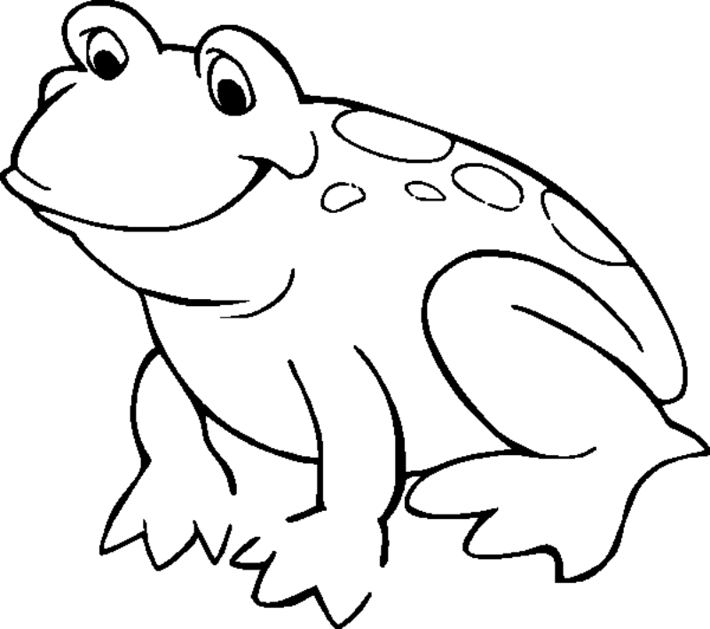 Frog Pics For Kids - ClipArt Best