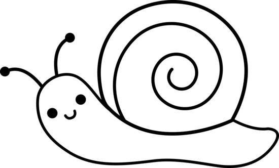 Snail Drawing