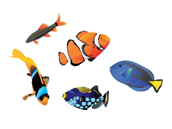 Fish free vector download (825 Free vector) for commercial use ...