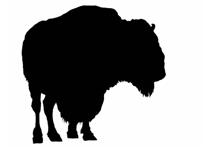 5 American Buffalo Vector Silhouettes | Free Vector Art at Vecteezy!