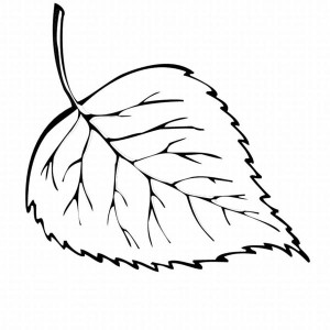 Maple Leaf is the Autumn Leaves Coloring Page | Kids Play Color