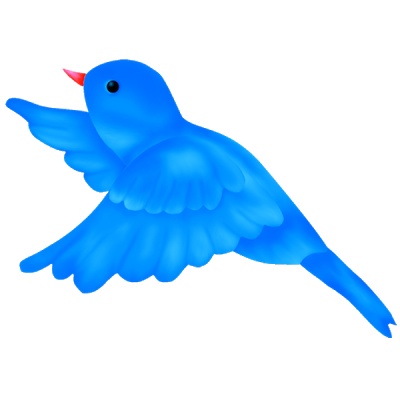 Blue Bird's - Bird Images