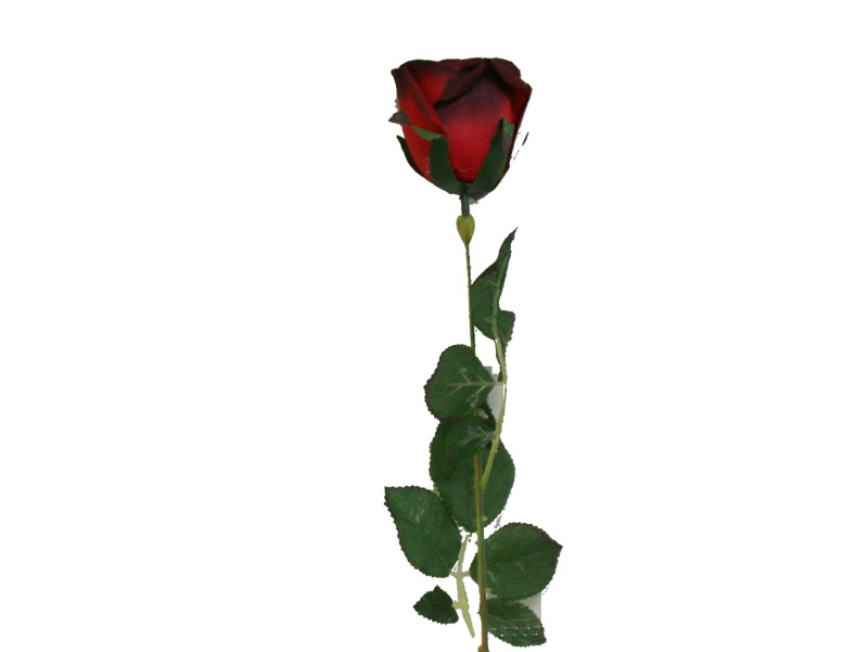 Long Stem Rose Clipart