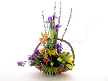 1000+ images about Basket's Gallery.
