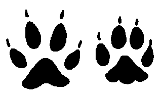 1000+ images about Cub scouts-wolf year | Wolves ...