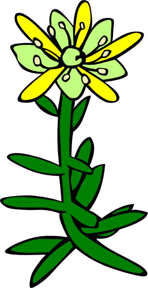 Snowdrop Flower Tattoo | Free Download Clip Art | Free Clip Art ...