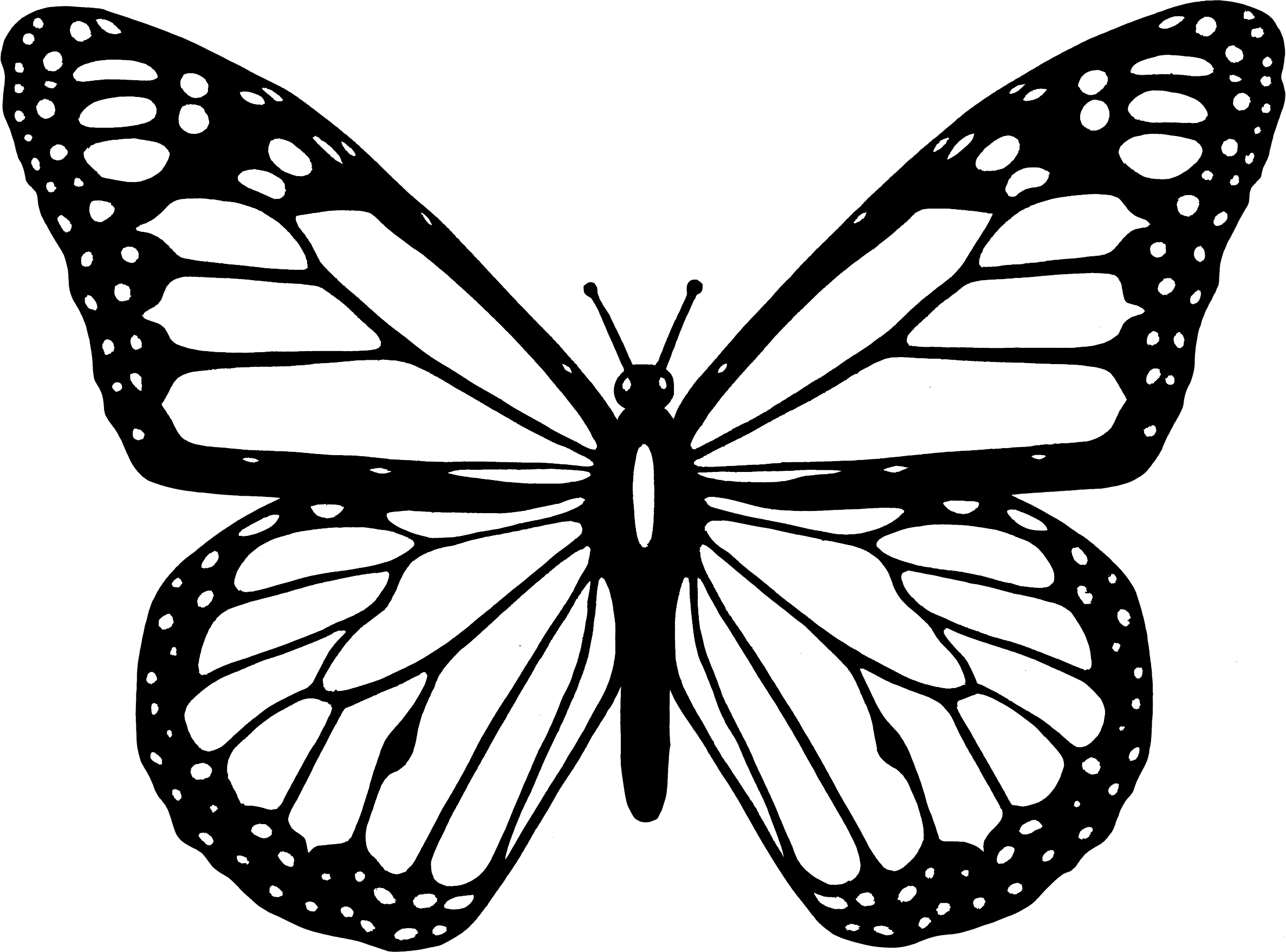Butterfly black and white butterfly clipart black and white ...
