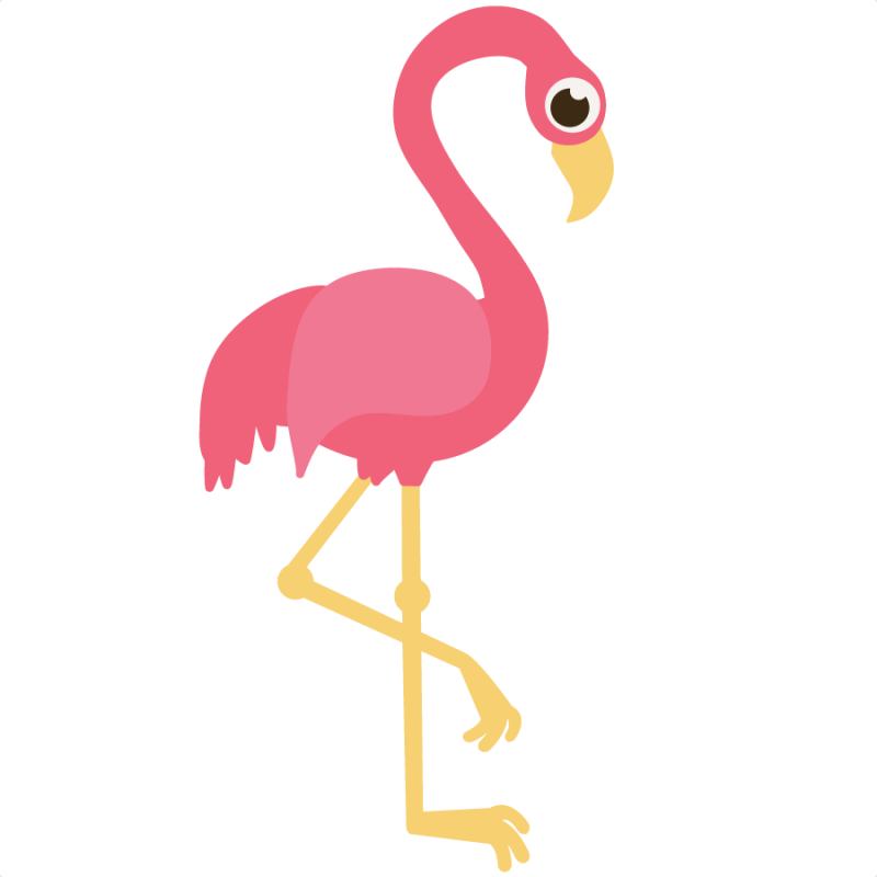 Pink Flamingo Cartoon Clipart