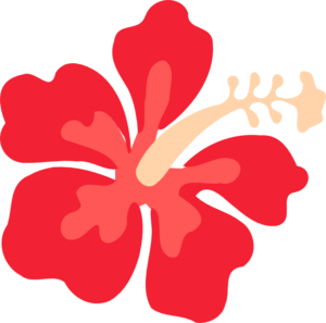 Hawaiian flowers clipart no background